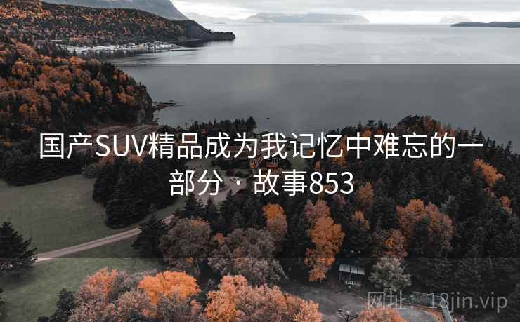 国产SUV精品成为我记忆中难忘的一部分 · 故事853  第1张