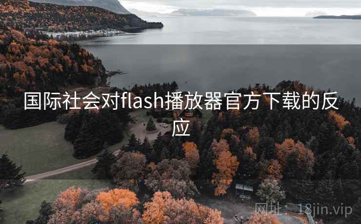 国际社会对flash播放器官方下载的反应 第2张 国际社会对flash播放器官方下载的反应 第2张